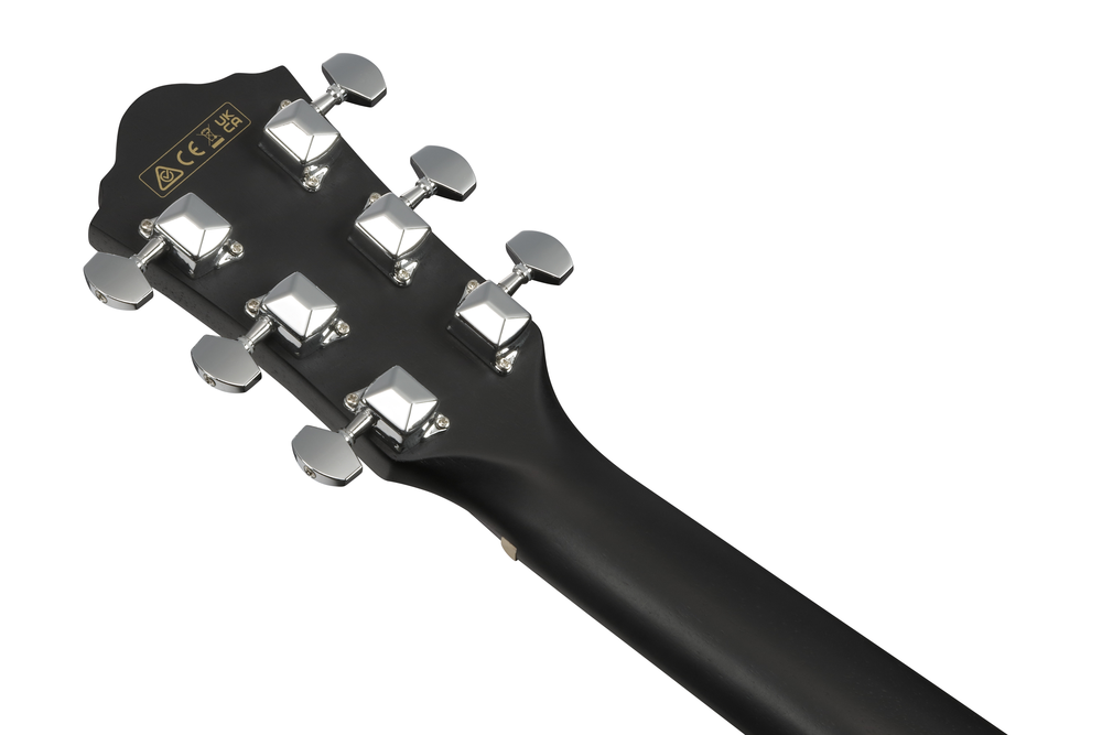 Ibanez V44CE Acoustic Guitar - Weathered Black Open Pore