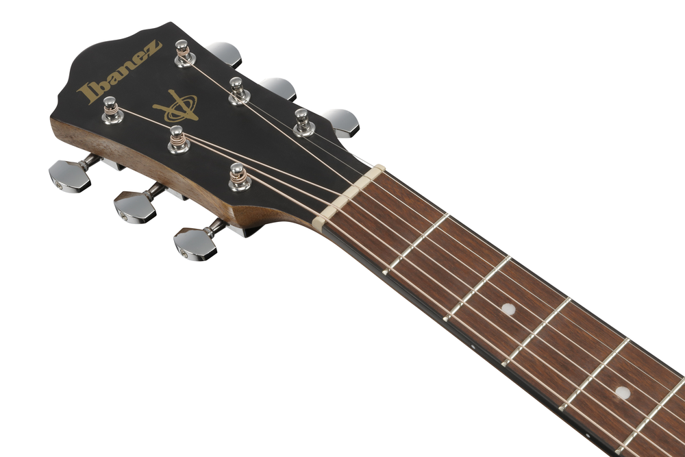 Ibanez VC40WSCE Acoustic Guitar - Open Pore Brown