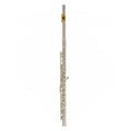 Yamaha YFL372HGLID Intermediate B-Foot Gold Lip Plate